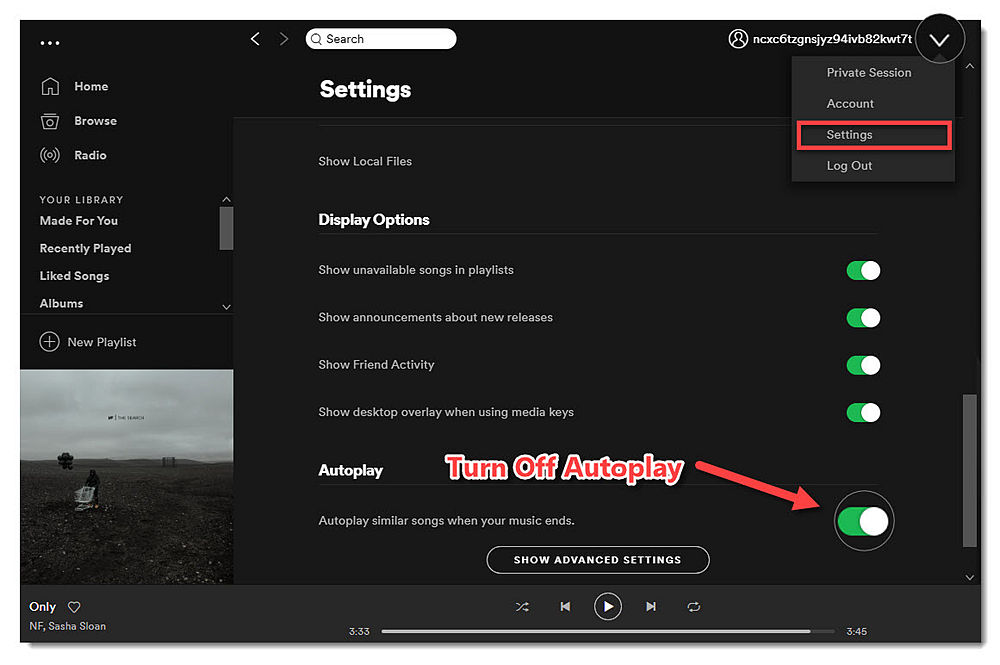 download spotify player for mac